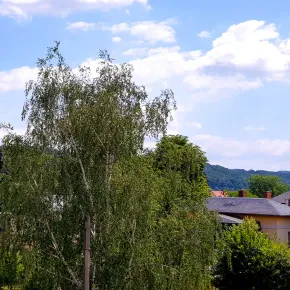 Ferienwohnung "Elbhangblick" - Wolfgruppe