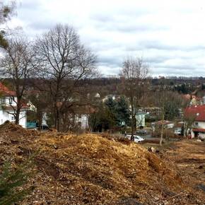 Baugrundstücke in Pirna am Postweg  - Wolfgruppe