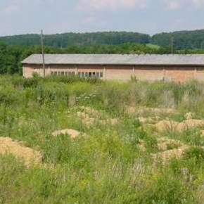 Projekt Cunnersdorf   Wolfgruppe