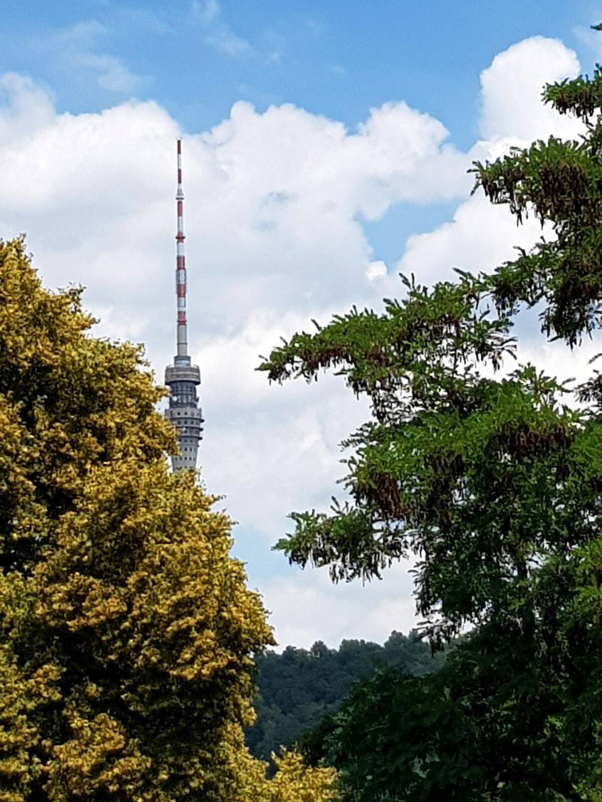 Ferienwohnung "Elbhangblick" - Wolfgruppe