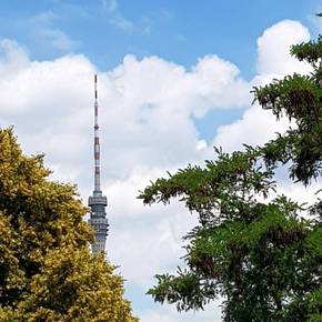 Ferienwohnung "Elbhangblick" - Wolfgruppe